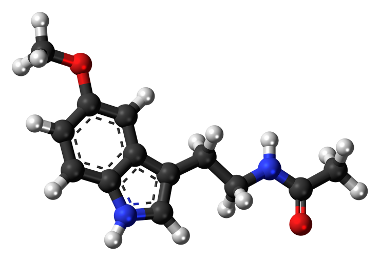 Melatonin molecule